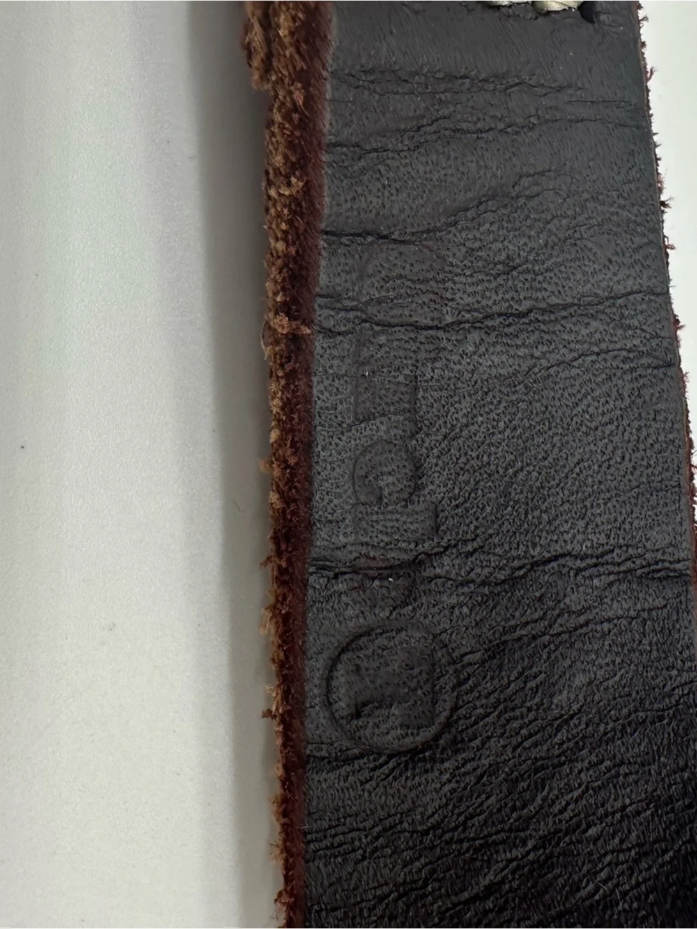 Circle T Brown Leather Dog Leash with Silver Tone Hardware